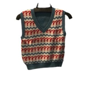 NWOT Aelfric Eden Super soft sweater vest